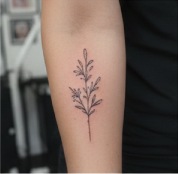 minimalistinen kasviaiheinen tatuointi kädessä